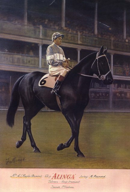 Champion Jockey, Merv Maynard